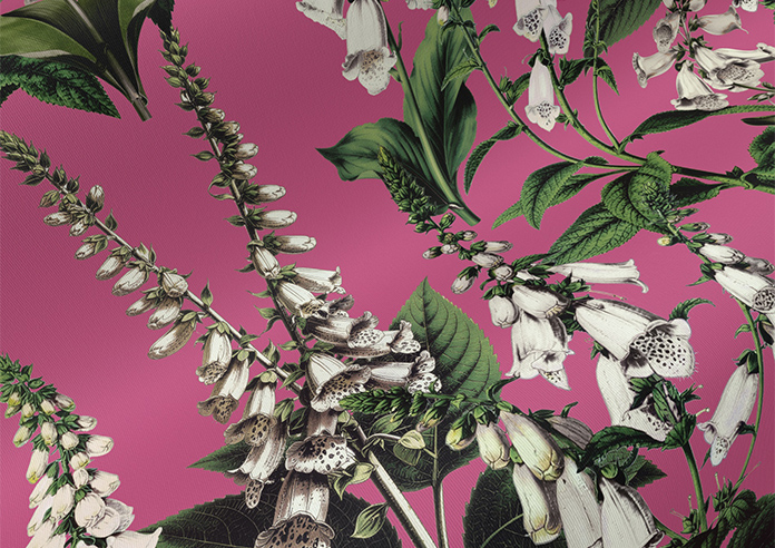 Foxcote, Cosmos - Twist&Fit Roller Blind - Image 4